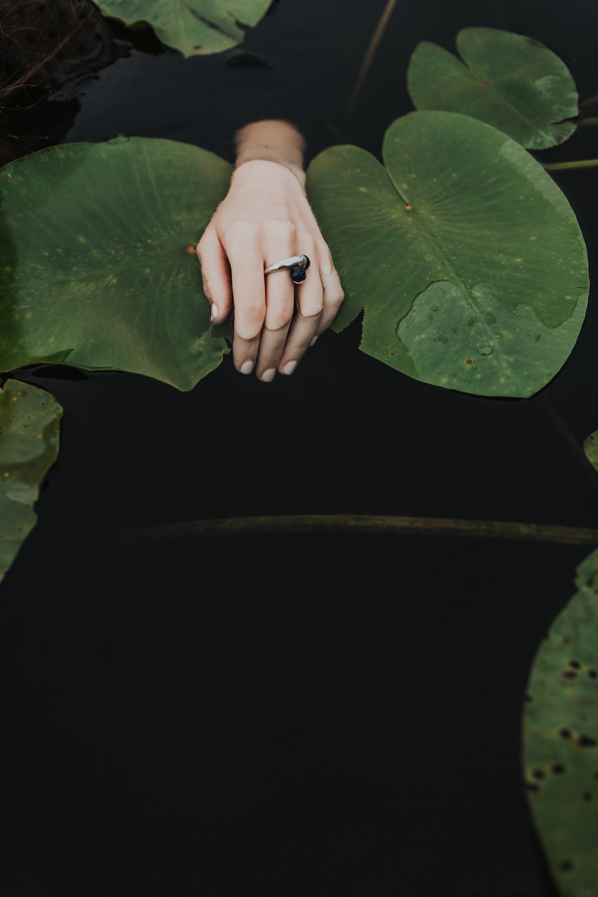 A woman's hand with a ring on her finger floating on green plants in a small pond